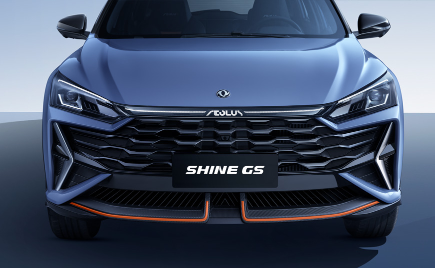 shine_gs